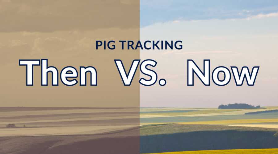 Pig tracking then vs now